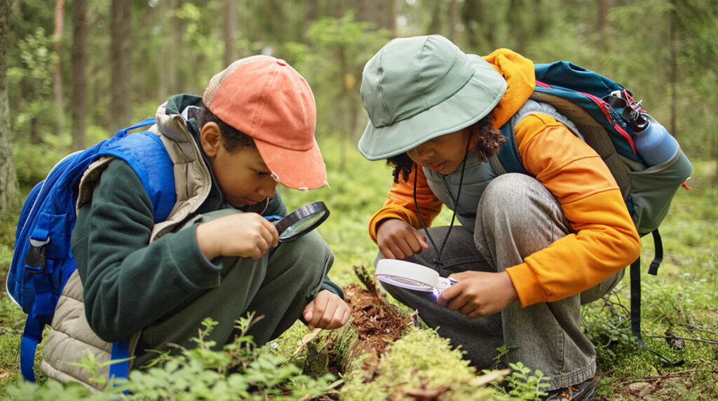 Two children examining moss and insects on a fallen log with magnifying glasses during an outdoor nature adventure in the forest.